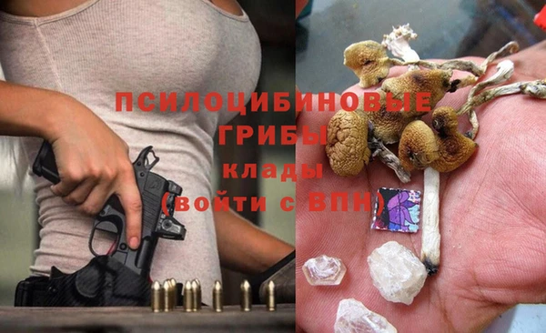 apvp Абаза