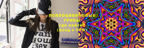 apvp Абаза