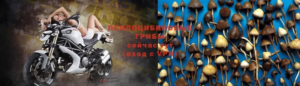 apvp Абаза
